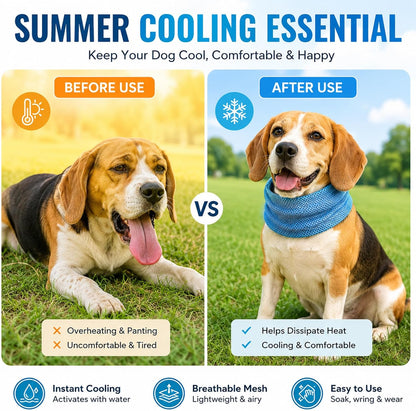 QIANAI Kühlhalsband Für Hunde, 2 Stück Hundehalsband Kühlend, Atmungsaktiv Kühlhalsband,Dog Cooling Bandana Für Hund Zum Sommerspaziergang Spielen