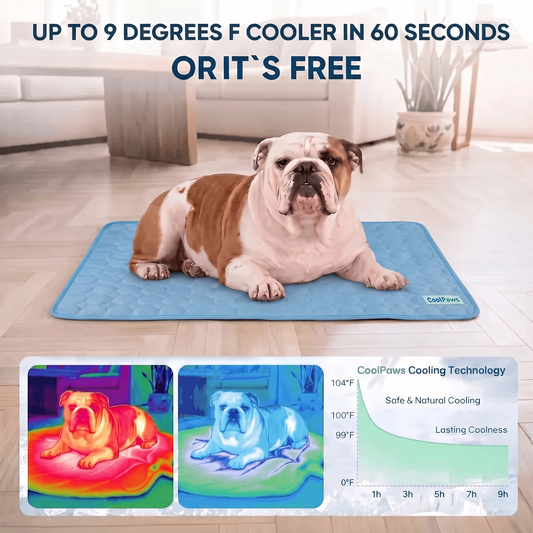 FrostMat"-Dog Self-Cooling Matt